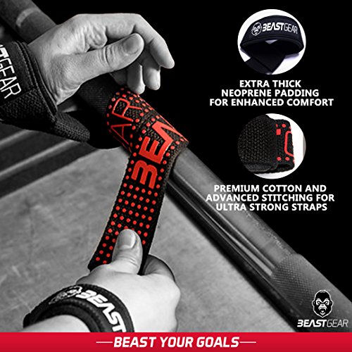 Beast Gear Profi Zughilfen für Fitness & Bodybuilding Professionelle