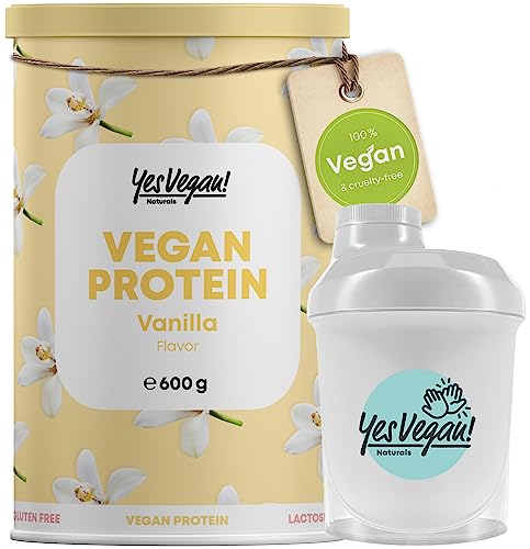 Veganes Proteinpulver inkl. gratis Shaker (VERSCHIEDENE GESCHMACKSRICHTUNGEN) Vegan Protein Pulver mit B2 und Zink – Alternative zu Whey Protein Pulver – Flavor: VANILLE – Eiweißpulver vegan